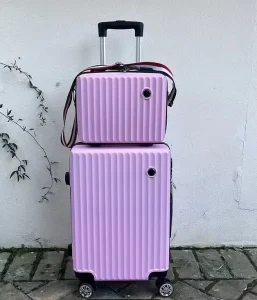 2PCS Eco-Friendly Fashionable Luggage Set PC ABS Hardshell Lightweight Suitcase Polyester Lining Soft Handle TSA Lock 4 Spinner
