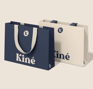Custom Design Printed Paper Bag With Ribbon Handle Luxury Clothing Shopping Bag Gift Tote Bag with Your Own Logo for Business