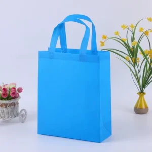 Custom Logo Color Reusable Nonwoven Fabric Eco friendly Biodegradable Recyclable Tote Bags for Supermarket Shopping