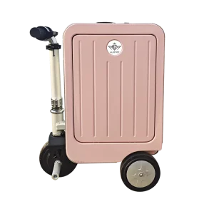 Custom Luggage Stylish Aluminum Frame Smart Trolley Case 20 Inch Suitcase Travel Bag