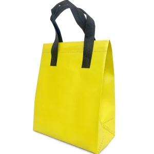 Custom Non Woven Bag Insulated Tote Bags