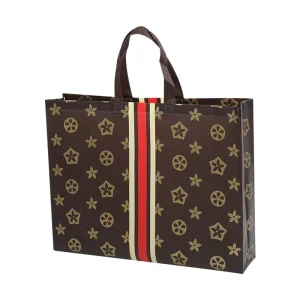 Custom Personalized Non Woven Bag Promotional Reusable Cloth Shopping Tote Bags Pp Laminated Non Woven Shopping Bag