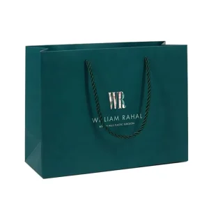 Custom Printed Brand Logo Design Promotion Luxury Clothing Retail Gift Shopping Jewellery Paper Bag With Handle