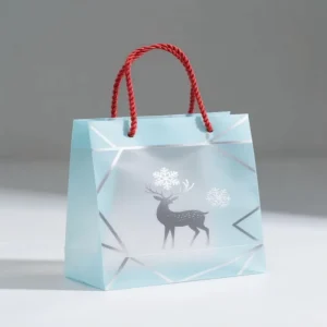 Custom Printed Plastic Gift Bag Clear Packaging Retail Shopping Bag OEM ODM