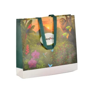 Customization Eco friendly Non woven Fabric Multiple Color Options logo Printing Available Non woven Bag Supermarket