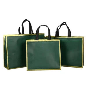 DLBZ Blank Luxury Durable Eco friendly Fashion Folding Large Capacity Customized Non Woven Shopping Tote Bags for Ladies