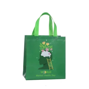 DLBZ Factory Multi function Folding Reusable Waterproof Durable Customizable Non woven Fabric Tote Bags for Outdoor Travel