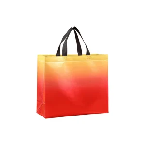 DLBZ Heavy Duty Compact Recycled Fashion Versatile Waterproof Custom Logo Printed Non Woven Fabric Handbag for Daily Life