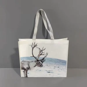 DLBZ Holiday Gift Packaging Bag Christmas Theme Laminated Non Woven Full Color Print Reusable Shopping Sack Versatile Large Tote