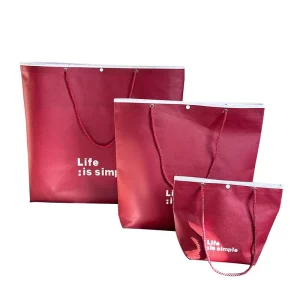 Durable Non Woven Bag with Drawstring Customized Printed Logo Non Woven Bag for Packaging and Shopping
