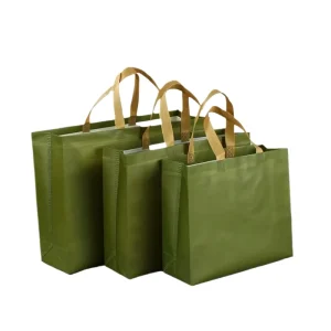 Durable with Handle DIY Green Blue Non Woven Tote Gift Bag Handbag Ecobag Eco Grocery Bag