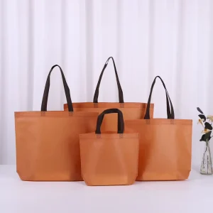Eco Friendly Handle Gift Packaging Bag Recycle Folding Shopping Bags with Logos Textile Packaging Non woven Bag