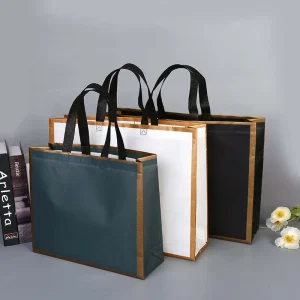 Eco Friendly Recyclable Reusable PE+Non Woven Fabric Laminated Customizable Shopping Bag Custom Logo Custom Color Supermarket