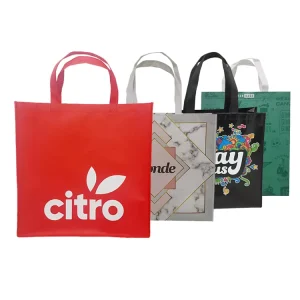 Eco Grocery PP Non Woven Shopping Bags Reusable Custom Logo Foldable Grocery Shop Shopping Tote Bag for Boutique