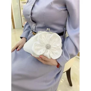 Evening Bag