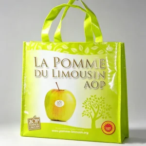 Factory Custom PP Woven Shopping Bag Flexiloop Handle Laminated PP Woven Bag Printing Logo Eco Friendly Reusable Supermarket