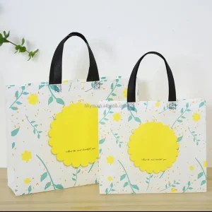 Factory Direct Eco Friendly Biodegradable Film coated Laminated Non Woven Bag Heavy Duty 100gsm Full Color Supermarket