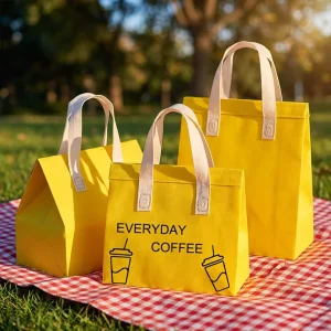 Family Outdoor Picnic Insulated Bag Non-Woven Thermal Food Delivery Tote Bag Custom Logo Factory Price