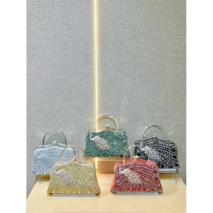 Fashion Ladies Evening Bag