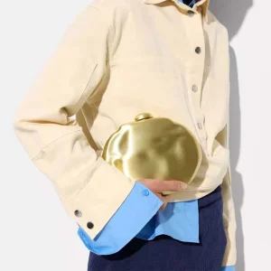 High Quality Iron Box Shell Shape Clutch Lady’s Purse for Party Evening Clutch Bags Fashionable Classic Style Factory Whole Sale