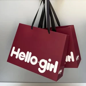 High end Clothing Store Handbag Men’s Women’s Biodegradable Gift Shopping Paper Bag With Logo Internet Celebrity Offset Printed
