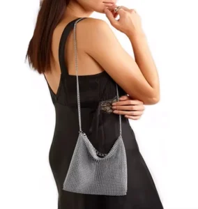 Ladies Bag Timeless Stainless Steel Mesh Chain New Bags for Modern Women