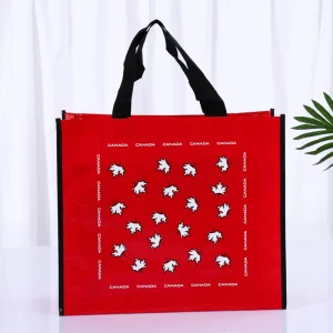 Laminated Non Woven Bag Factory PP Non Woven Shopping Eco Tote Bag Custom Grocery Promotion Gift Shopping Bag