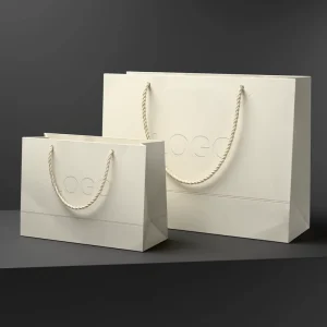 Luxury Clothing & Jewellery Paper Bag with Custom Printed Logo Kraft Paper Handle Retail Gift Shopping Promotion
