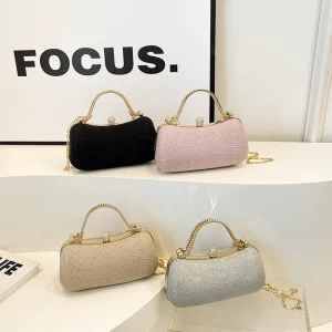 New Popular Women’s Fashion Lady Candy Banquet Bag Hasp Closure Small Single Shoulder Crossbody Chain Bag