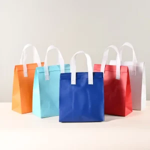 Non Woven Cooler Bag Thermal Takeaway Bag Insulation Lunch Food Delivery Bag