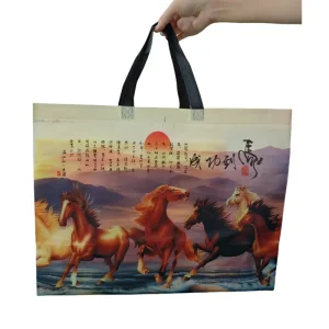 Non Woven Reusable Large Size Shopping Carry Bag with Hand Length Handle Custom Logo Option in Stock