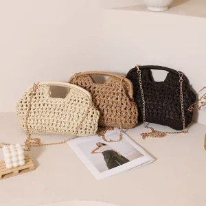 Paper Straw Crossbody Bag Spring Hollow Out Clip On Beach Handbag for Women Fashion Woven Tote for Seaside Vacation