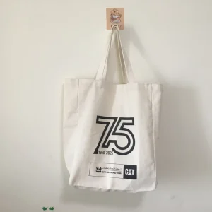 Plain Factory Direct Sale 100% Cotton Canvas Casual Reusable Blank Eco Friendly Canvas Tote Bags