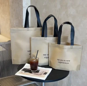 Promotional Custom Printed Non Woven Bag Recyclable Polypropylene Tote for Retail Boutique Packaging