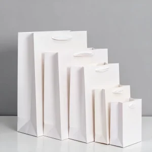 Ribbon Handled Custom Logo Paper Bags Exquisite Recyclable Gift Bags for High End Clothing Retail