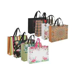 Ruicheng Custom Reusable Non Woven Tote Shopping Bag Biodegradable Retail Online Shop Bags Recyclable Feature