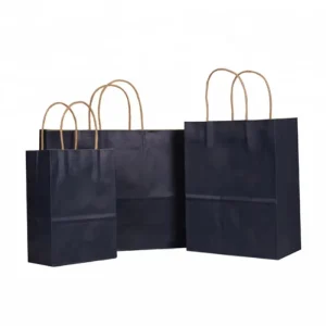 Shopping Paper Bags Kraft Paper Bag with Handle