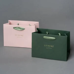Simple Style Coated Paper Bag Rope for Clothing Gifts Luxury Goods Packaging with Custom Printed Brand Logo with Satin Carton MC