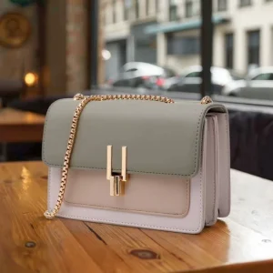 Women’s Cute Designer PU Waterproof Eco Friendly Crossbody Shoulder Handbag Medium Size Fashionable Portable for Ladies